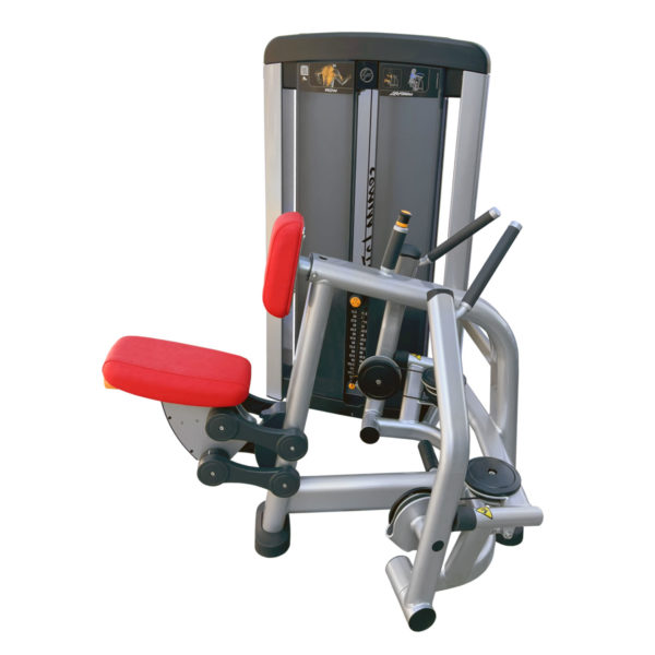 Posilňovací stroj na tréning chrbtových svalov Life Fitness Insignia Row
